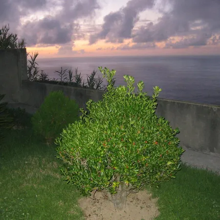 Сasa de vacaciones Casa Santana Nordeste (Azores)